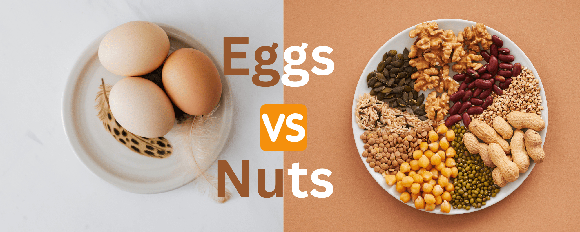 Eggs or nuts: Which Is A Good Breakfast Choice In Winter? - Dr Trust