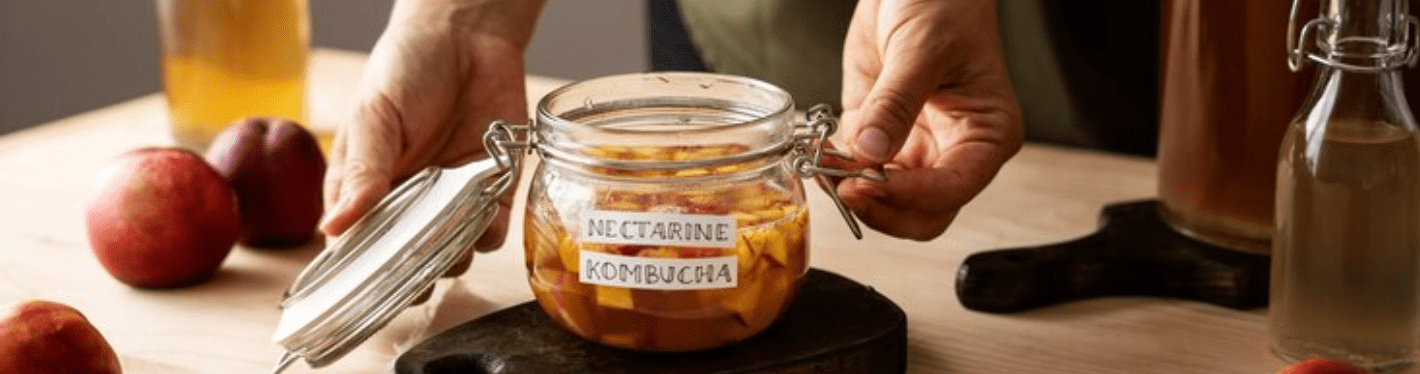 Kambucha: Potential Health Benefits of Kombucha, Its Nutrients, Benefits & Side Effects - Dr Trust