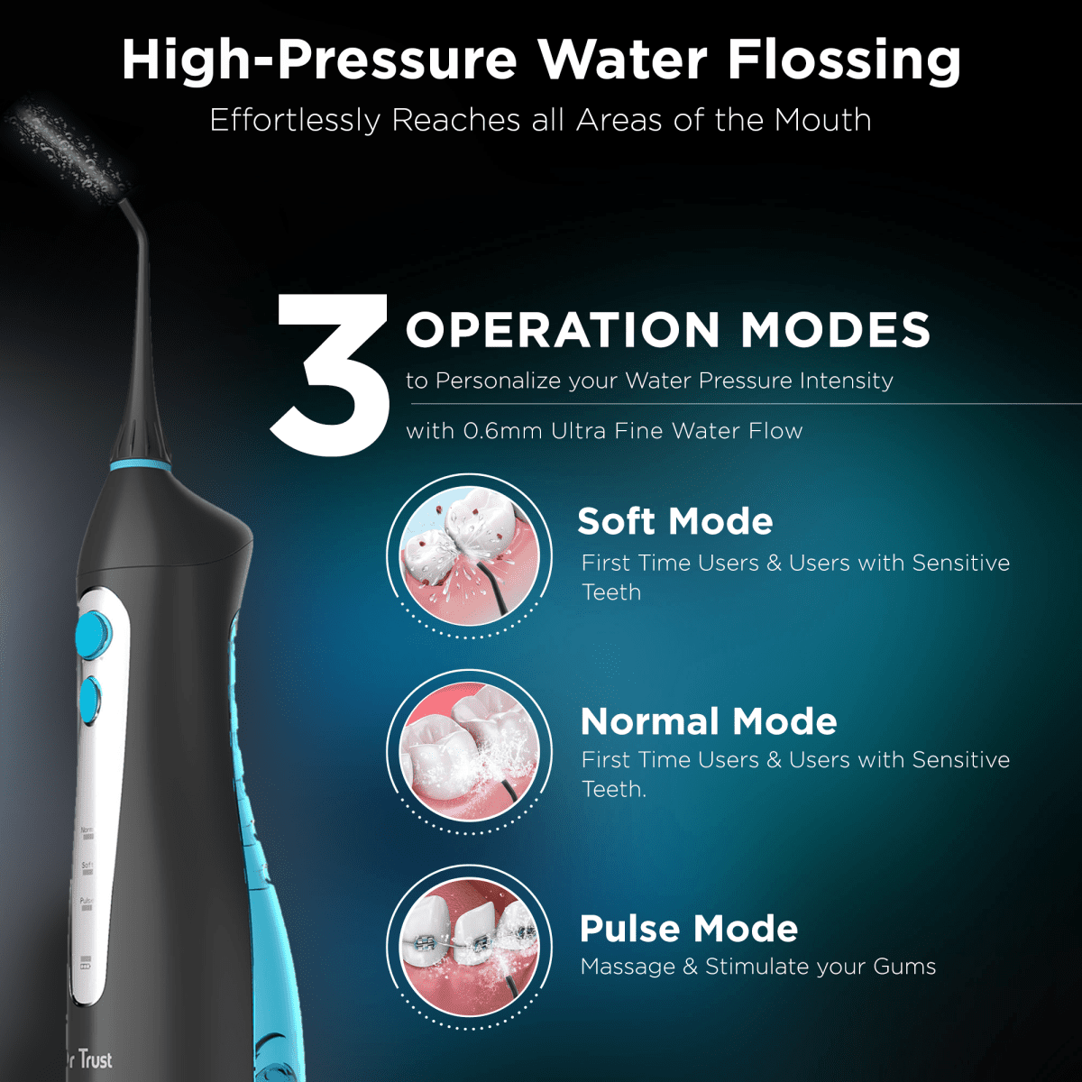 Dr Trust USA Oral Irrigator 310