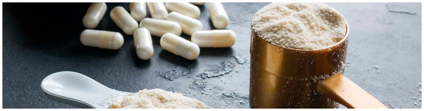 10 Scientifically Proven Health Benefits of Creatine - Dr Trust