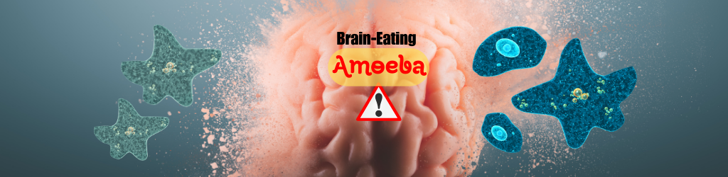 3 children died in kerla because of brain eating amoeba 