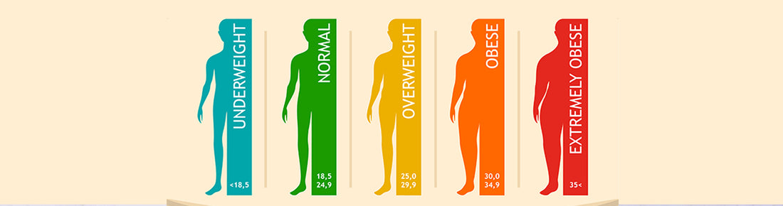 Body Mass Index:  Redirecting to a healthy weight