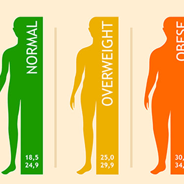 Body Mass Index:  Redirecting to a healthy weight