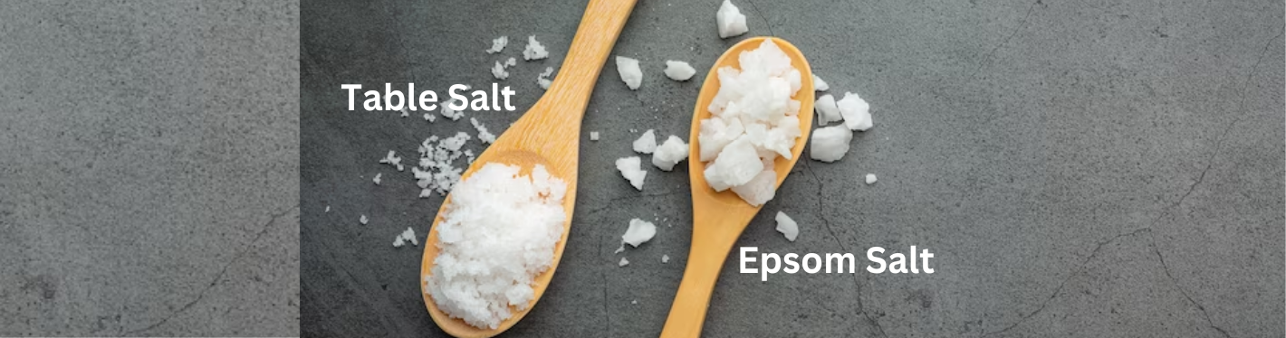 Epsom Salt & Regular Salt: Understanding Properties And Uses