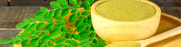 13 Things About Moringa Use For Better Health You May Not Have Known