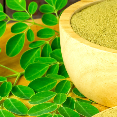 13 Things About Moringa Use For Better Health You May Not Have Known