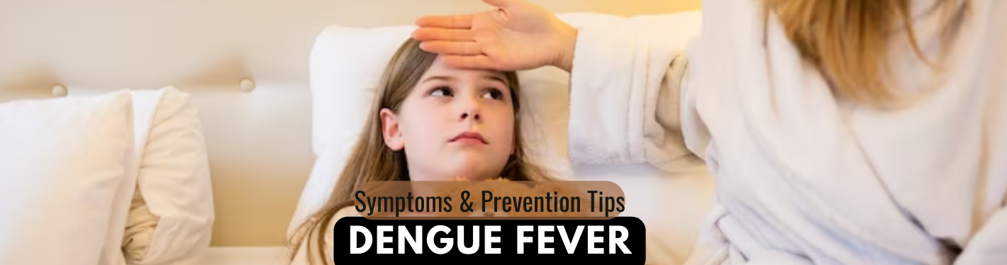 Dengue Prevention and Control: 12 Tips to Avoid Dengue at Home
