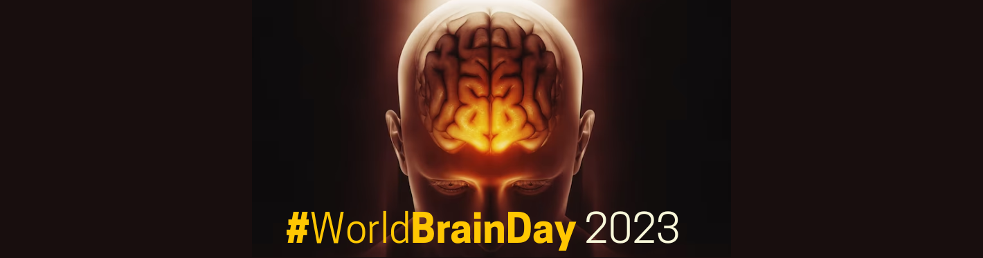 World Brain Day 2023: Foods to eat and avoid for sharper memory, brain  health