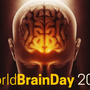 World Brain Day 2023 : 9 Simple Ways To Support Your Brain Health