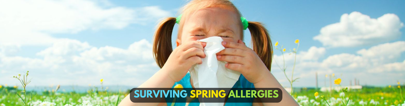 Spring Allergies: Causes, Symptoms and Cure