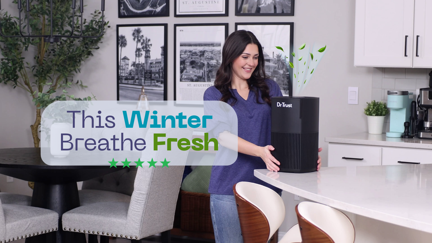 Dr Trust Zurich Air Purifier -Home Air Pollution Control