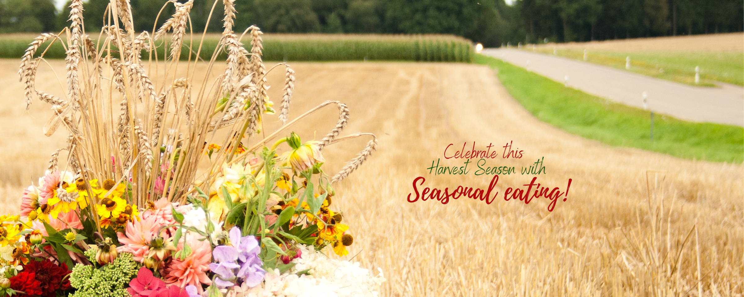 Baisakhi to Ugadi: Celebrate Spring Harvest Festivals with Traditional Seasonal Dishes - Dr Trust
