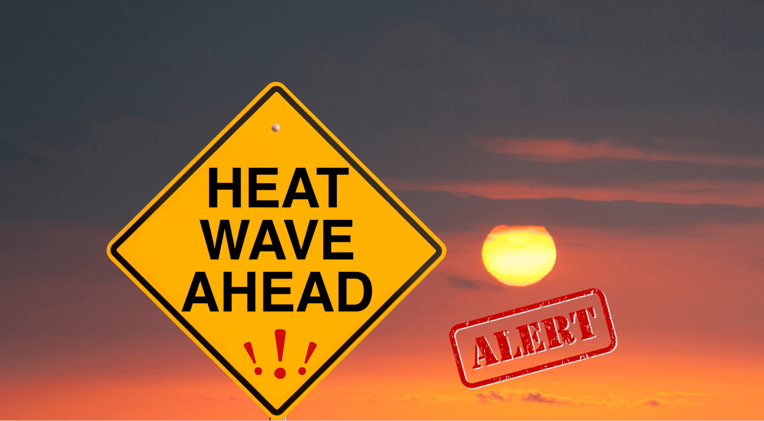 Heatstroke Alert ❗ Essential Tips for Staying Safe Outdoors During Heatwaves - Dr Trust