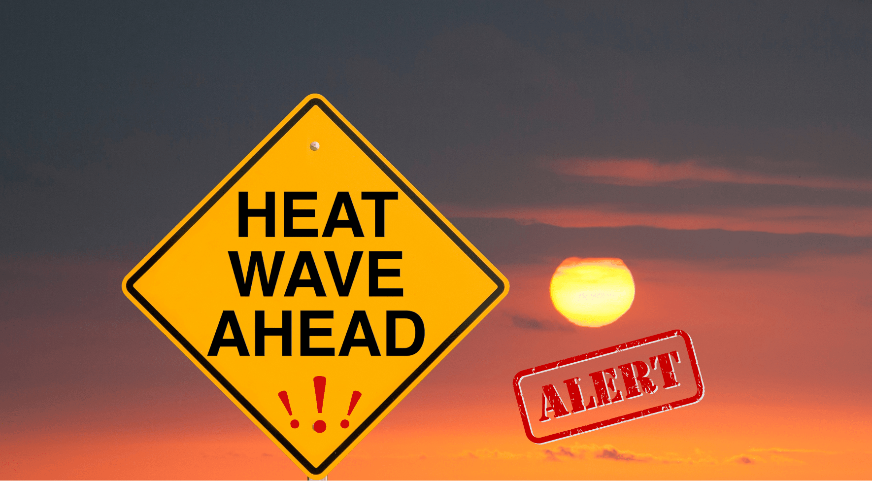 Heatstroke Alert ❗ Essential Tips for Staying Safe Outdoors During Heatwaves - Dr Trust