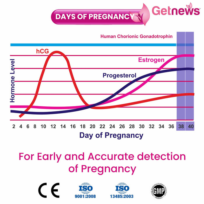 Dr Trust USA pregnancy Getnews Pregnancy Test kit 1204