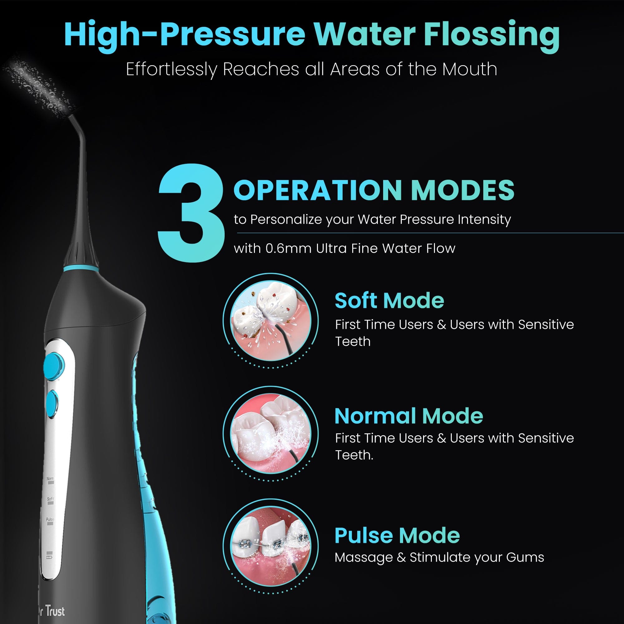 Dr Trust USA flosser Dr Trust USA Oral Irrigator 310