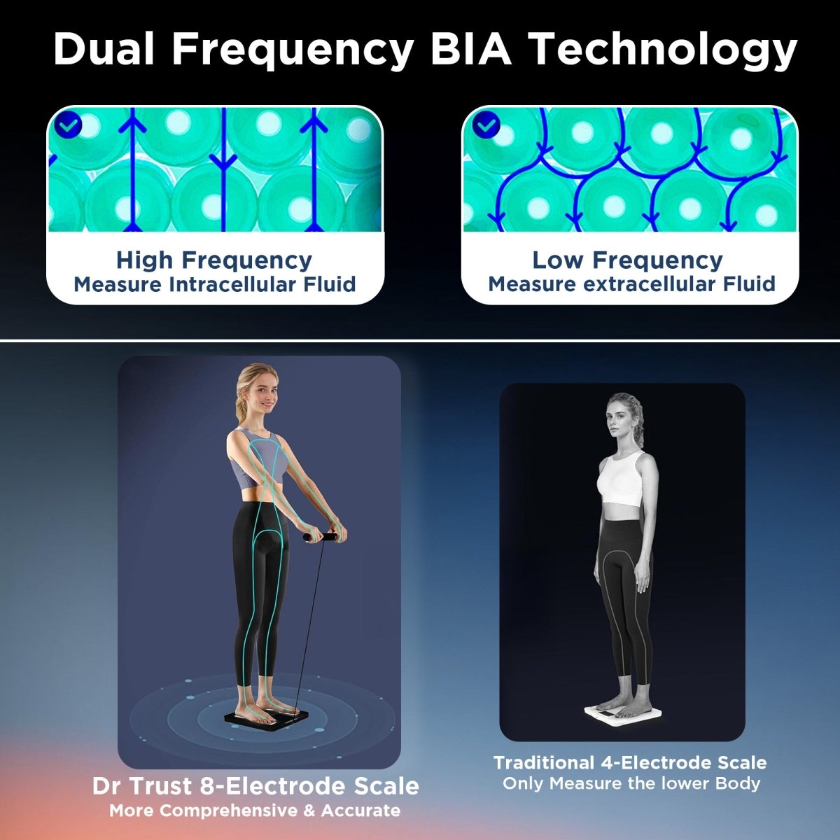 Dr Trust USA 533 OLYMPUS 8-Electrode Smart Body Fat Analyzer & BMI Scale, Dual-Frequency BIA Digital Weighing Scale, Tracks 50 Body Metrics, Full Body Composition Monitor, Dr Trust 360 App Sync