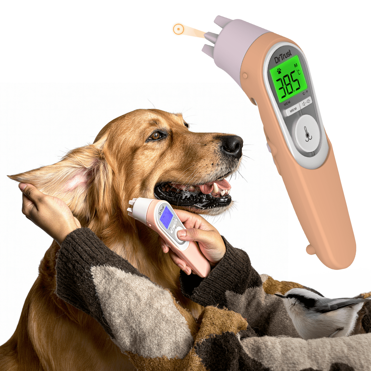 Dr Trust USA Non - Contact Infrared Pet Thermometer 619