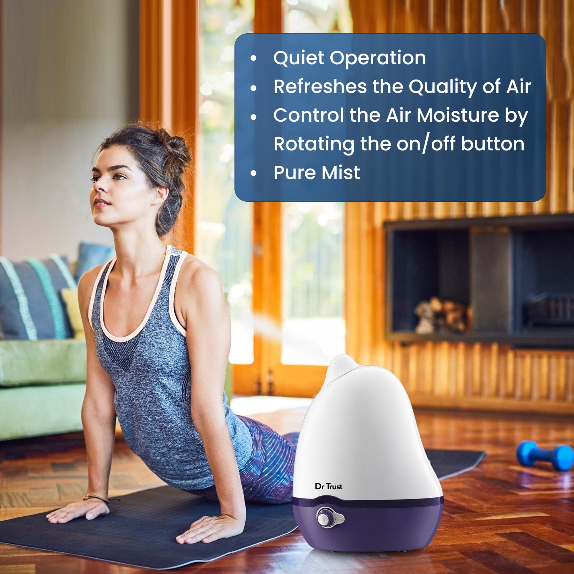 Dr Trust USA humidifier Dr Trust USA HomeSpa Luxury Cool Mist Dolphin Humidifier 904 (2 Liters capacity)